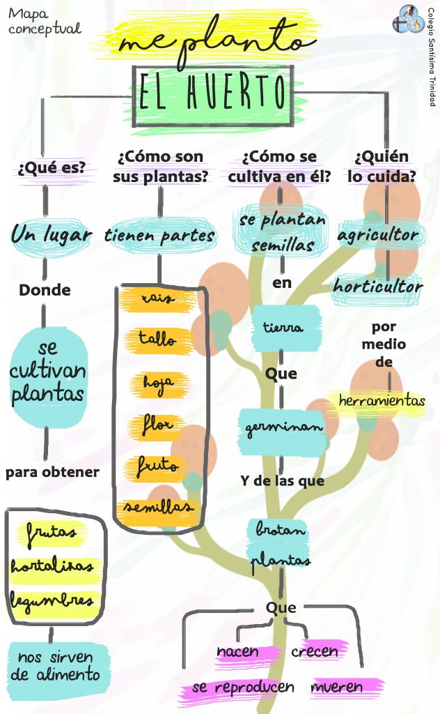 Proyecto Me planto, Colegio Santísima Trinidad Salamanca. E.Infantil