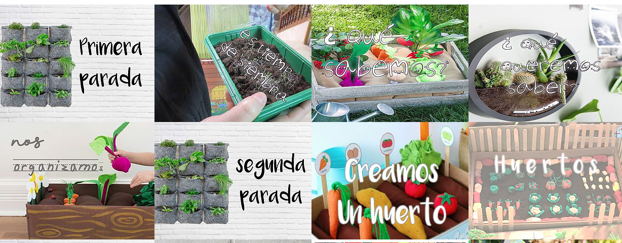 proyecto me planto colegio santisima trinidad