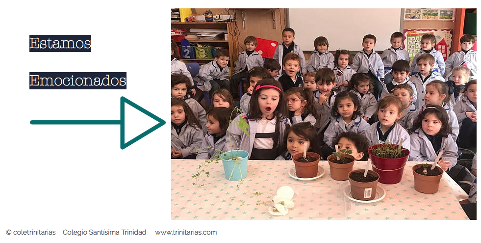 descubrir-proyecto me planto-colegio santisima trinidad